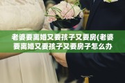 老婆要离婚又要孩子又要房(老婆要离婚又要孩子又要房子怎么办)