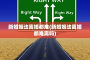 新婚姻法离婚都难(新婚姻法离婚都难离吗)