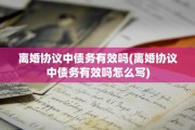 离婚协议中债务有效吗(离婚协议中债务有效吗怎么写)