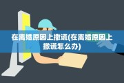 在离婚原因上撒谎(在离婚原因上撒谎怎么办)