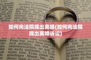如何向法院提出离婚(如何向法院提出离婚诉讼)