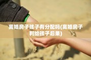 离婚房子孩子有分配吗(离婚房子判给孩子后果)