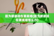 因为婆婆现在要离婚(因为婆婆现在要离婚怎么办)