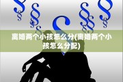 离婚两个小孩怎么分(离婚两个小孩怎么分配) 离婚两个小孩怎么分(离婚两个小孩怎么分配)