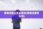 离婚法庭上怎么胜诉(离婚法庭怎么判)