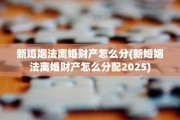 新婚姻法离婚财产怎么分(新婚姻法离婚财产怎么分配2025)