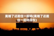 离婚了还能住一起吗(离婚了还能住一起吗现在)
