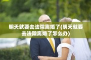 明天就要去法院离婚了(明天就要去法院离婚了怎么办)