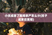 小孩成家了离婚家产怎么分(孩子成家后离婚)
