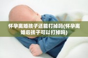怀孕离婚孩子还能打掉吗(怀孕离婚后孩子可以打掉吗)
