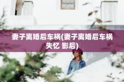 妻子离婚后车祸(妻子离婚后车祸失忆 影后)
