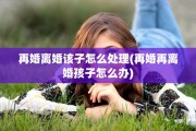 再婚离婚该子怎么处理(再婚再离婚孩子怎么办)