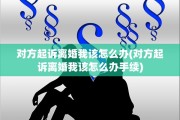对方起诉离婚我该怎么办(对方起诉离婚我该怎么办手续)