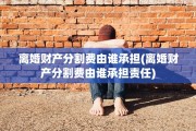 离婚财产分割费由谁承担(离婚财产分割费由谁承担责任)