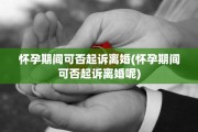 怀孕期间可否起诉离婚(怀孕期间可否起诉离婚呢)