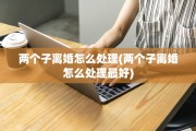 两个子离婚怎么处理(两个子离婚怎么处理最好)