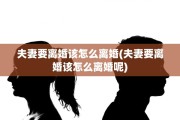 夫妻要离婚该怎么离婚(夫妻要离婚该怎么离婚呢)