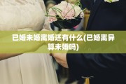 已婚未婚离婚还有什么(已婚离异算未婚吗)