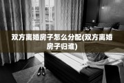 双方离婚房子怎么分配(双方离婚房子归谁)