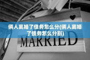 俩人离婚了债务怎么分(俩人离婚了债务怎么分割)