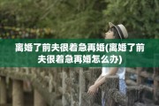 离婚了前夫很着急再婚(离婚了前夫很着急再婚怎么办)