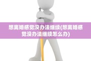想离婚感觉没办法继续(想离婚感觉没办法继续怎么办)
