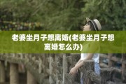 老婆坐月子想离婚(老婆坐月子想离婚怎么办)