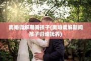 离婚调解期间孩子(离婚调解期间孩子归谁抚养)