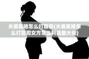 夫妻离婚怎么打官司(夫妻离婚怎么打官司女方怎么利益最大化)