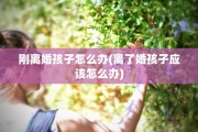 刚离婚孩子怎么办(离了婚孩子应该怎么办)