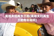 离婚夫妇再生三胎(离婚夫妇再生三胎有补贴吗)