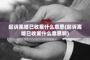 起诉离婚已收案什么意思(起诉离婚已收案什么意思啊)