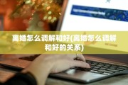 离婚怎么调解和好(离婚怎么调解和好的关系)