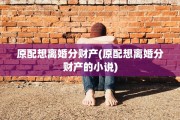 原配想离婚分财产(原配想离婚分财产的小说)