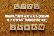 婚前财产离婚后如何分配(最新婚姻法婚前财产离婚后如何分配)