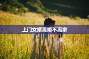 上门女婿离婚不离家