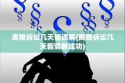 离婚诉讼几天能调解(离婚诉讼几天能调解成功)