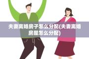 夫妻离婚房子怎么分配(夫妻离婚房屋怎么分配)