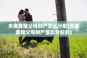 夫妻离婚父母财产怎么分配(夫妻离婚父母财产怎么分配的)