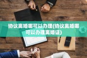 协议离婚哪可以办理(协议离婚哪可以办理离婚证)