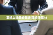 离婚上法庭的弊端(离婚法庭h)
