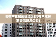 共有产权房离婚清退(共有产权房离婚清退怎么办)