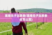 离婚无子女养老(离婚无子女养老金怎么算)