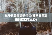 孩子只是离婚的借口(孩子只是离婚的借口怎么办)
