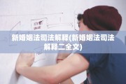 新婚姻法司法解释(新婚姻法司法解释二全文)