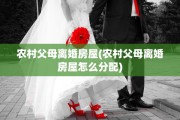 农村父母离婚房屋(农村父母离婚房屋怎么分配)