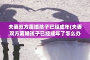 夫妻双方离婚孩子已经成年(夫妻双方离婚孩子已经成年了怎么办)