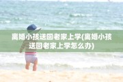离婚小孩送回老家上学(离婚小孩送回老家上学怎么办)
