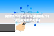 离婚财产打官司期间(离婚财产打官司期间怎么分割)