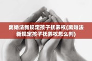 离婚法新规定孩子抚养权(离婚法新规定孩子抚养权怎么判)